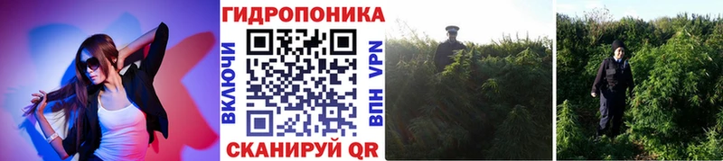Виды наркоты Сорочинск МАРИХУАНА  КОКАИН  Alpha-PVP  Мефедрон 
