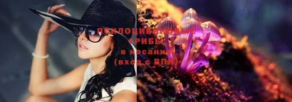 бошки Абаза