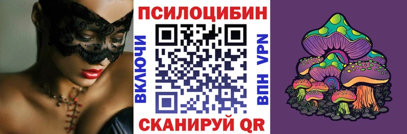 купить   Сорочинск  Псилоцибиновые грибы MAGIC MUSHROOMS 